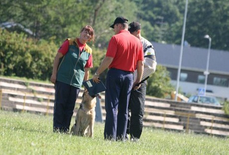 Estonian championship 2007 in IPO 3